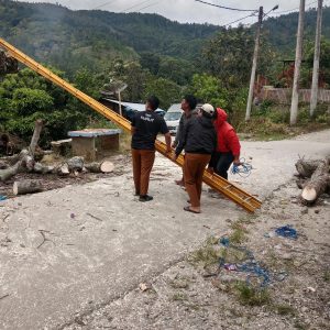 Langkah Preventif Keselamatan Warga: BPBD Kabupaten Toba Laksanakan Pemotongan Pohon Mati di Desa Aek Bolon Langkah Preventif Keselamatan Warga: BPBD Kabupaten Toba Laksanakan Pemotongan Pohon Mati di Desa Aek Bolon
